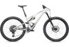 Specialized SJ EVO EXPERT S5 BIRCH/TAUPE